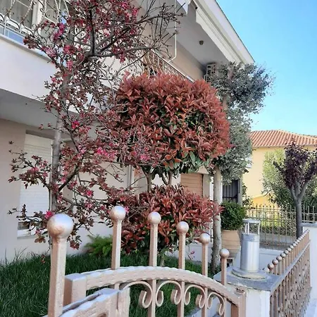 Apartment Summer Vibe *